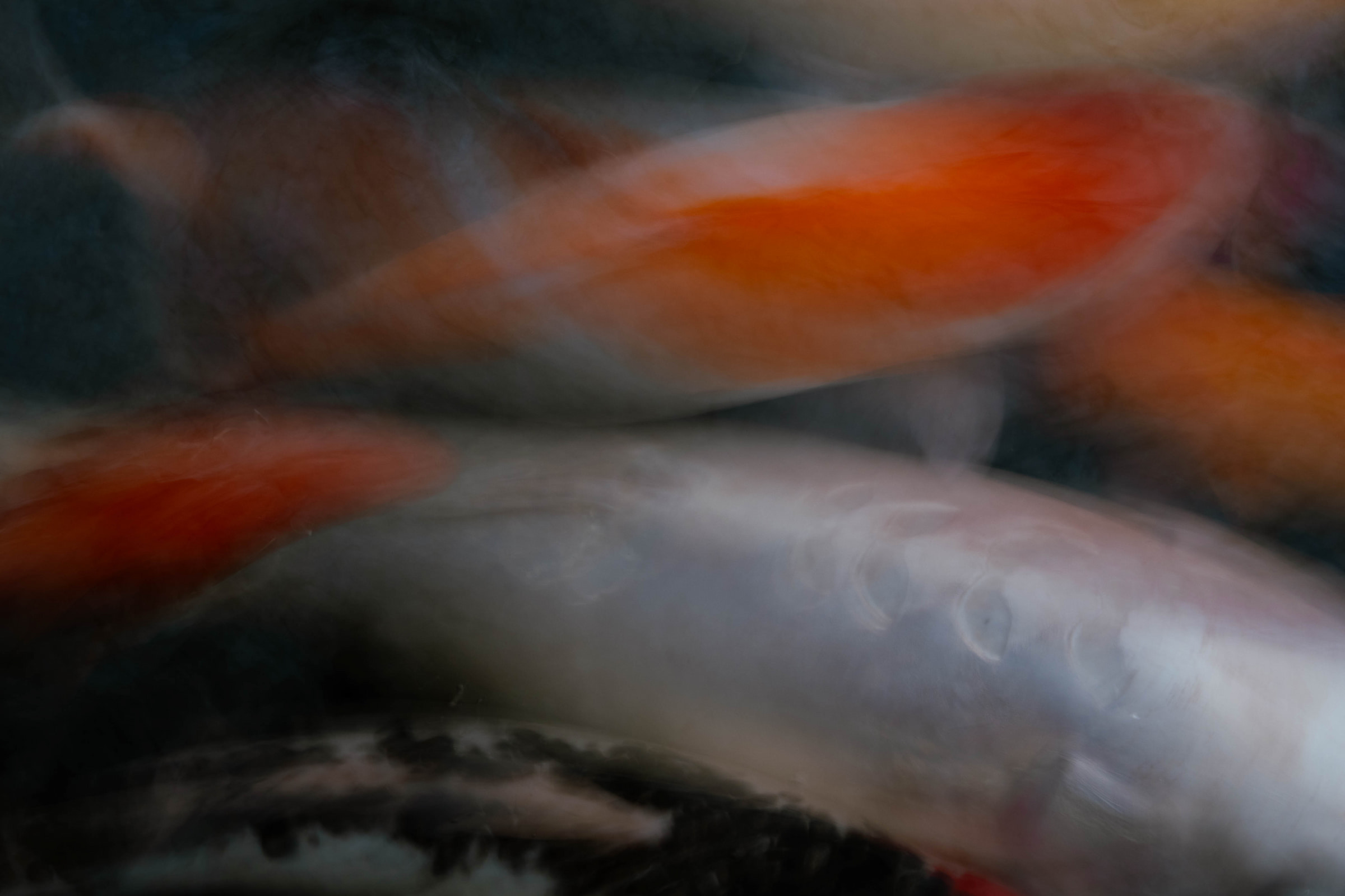 Abstract view 5