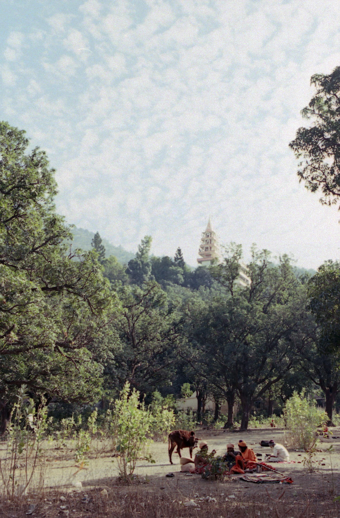 India travel view 11