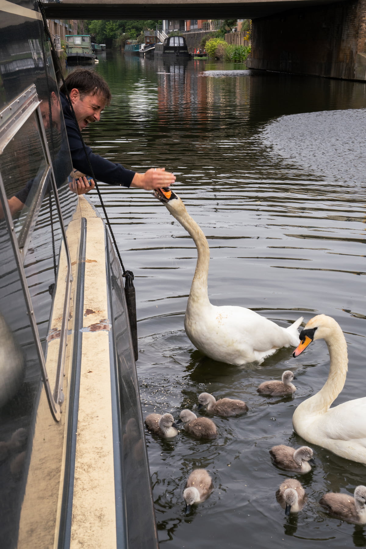 Narrowboat view 7